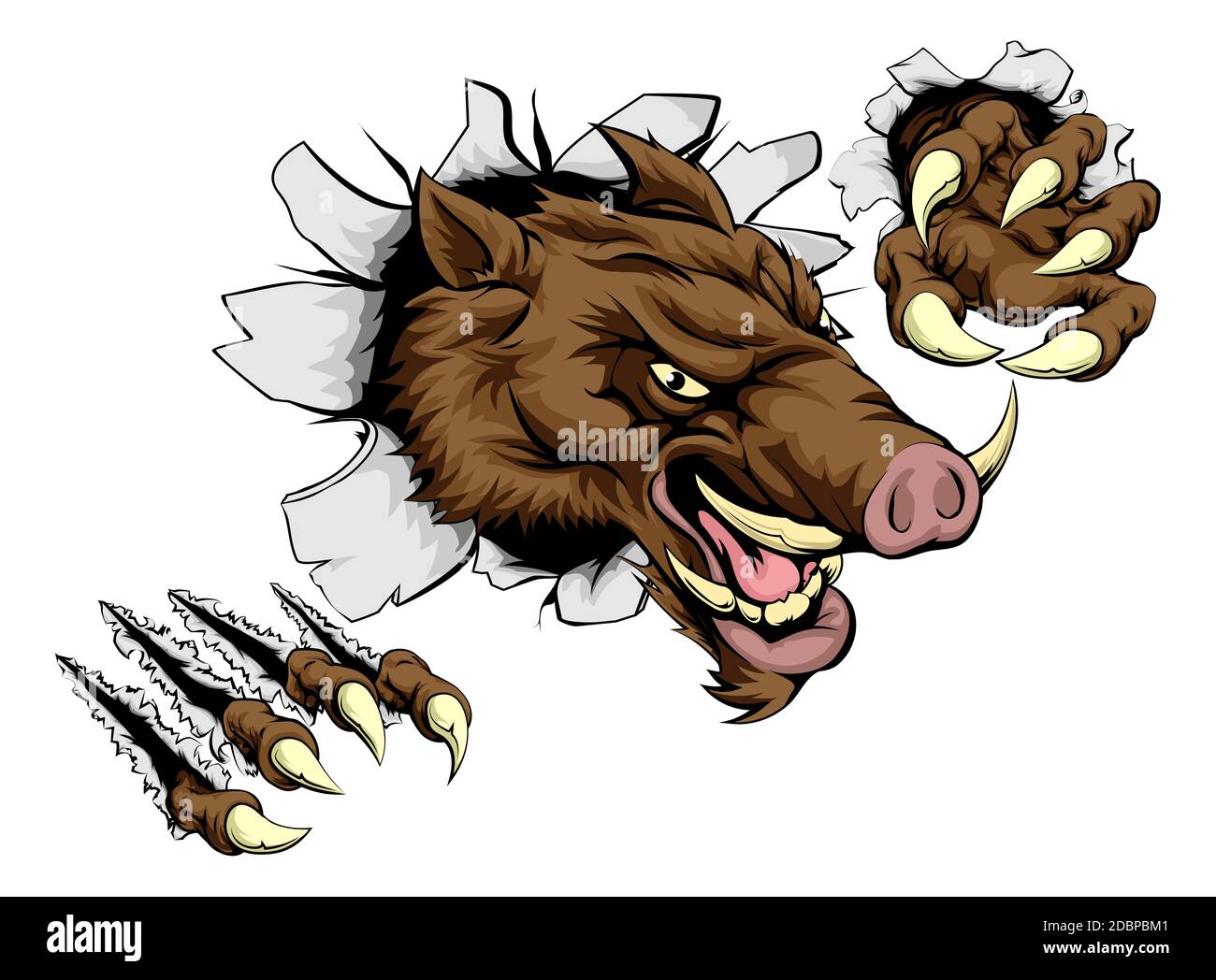 A scary boar animal mascot character breaking through wall with claws Stock Photo