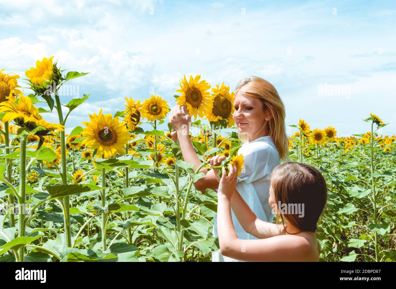 mother and daughter in the sunflower field Stock Photo - Alamy