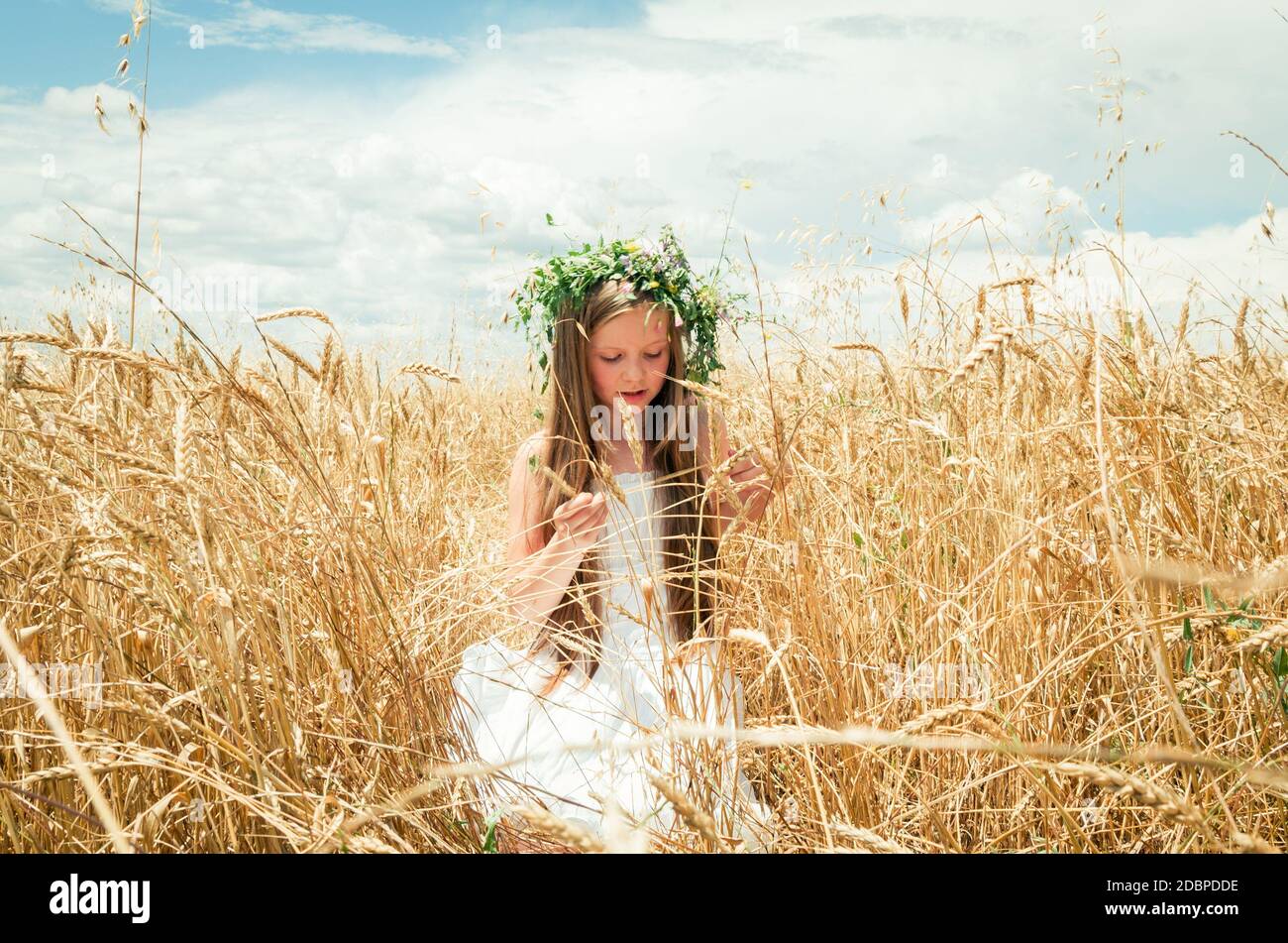 little girl in the wheat field Stock Photo - Alamy