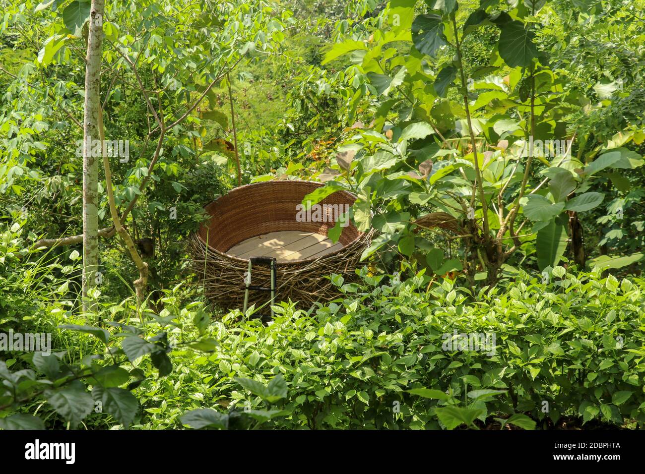 Tourist attraction in the form of large bird's nest. Bird's nest from