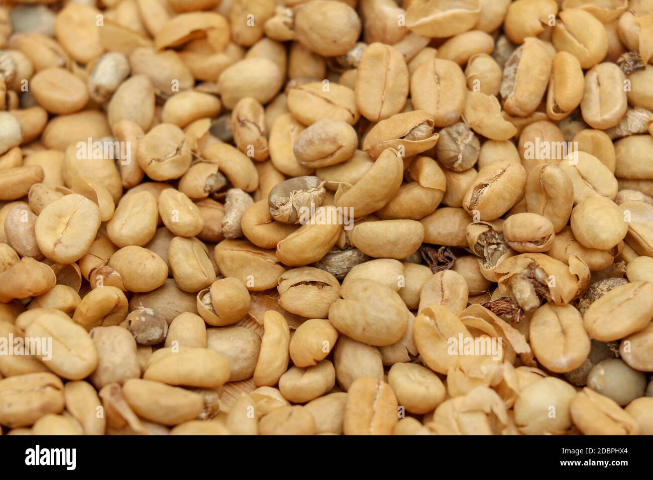 The process of making Kopi luwak beans dry by using sunlight. Natural