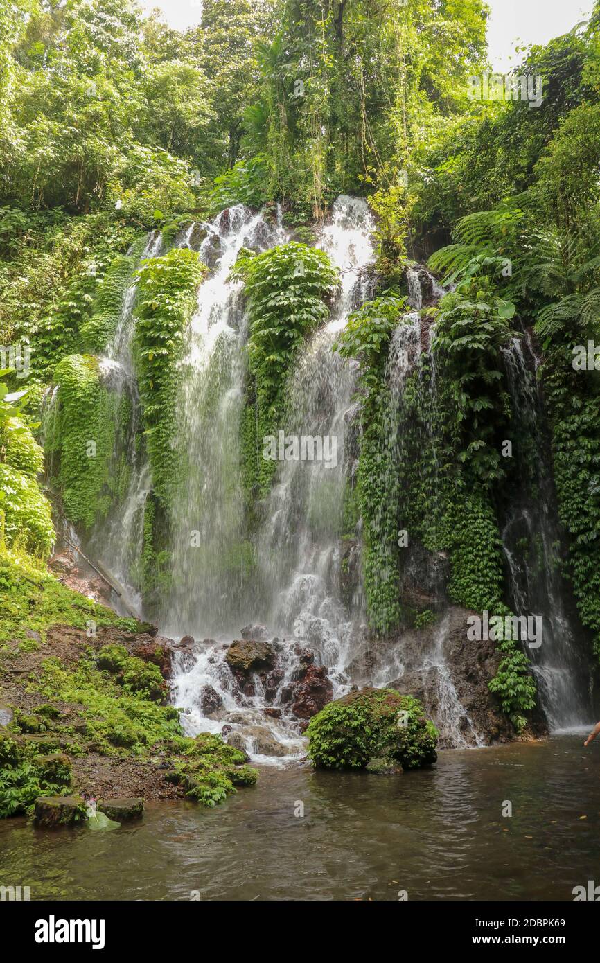 Spray waterfall in Bali island, Indonesia. Scenic waterfall high in the mountains. Having fun in the wild nature. Waterfalls in jungle. Bali Travel Co Stock Photo