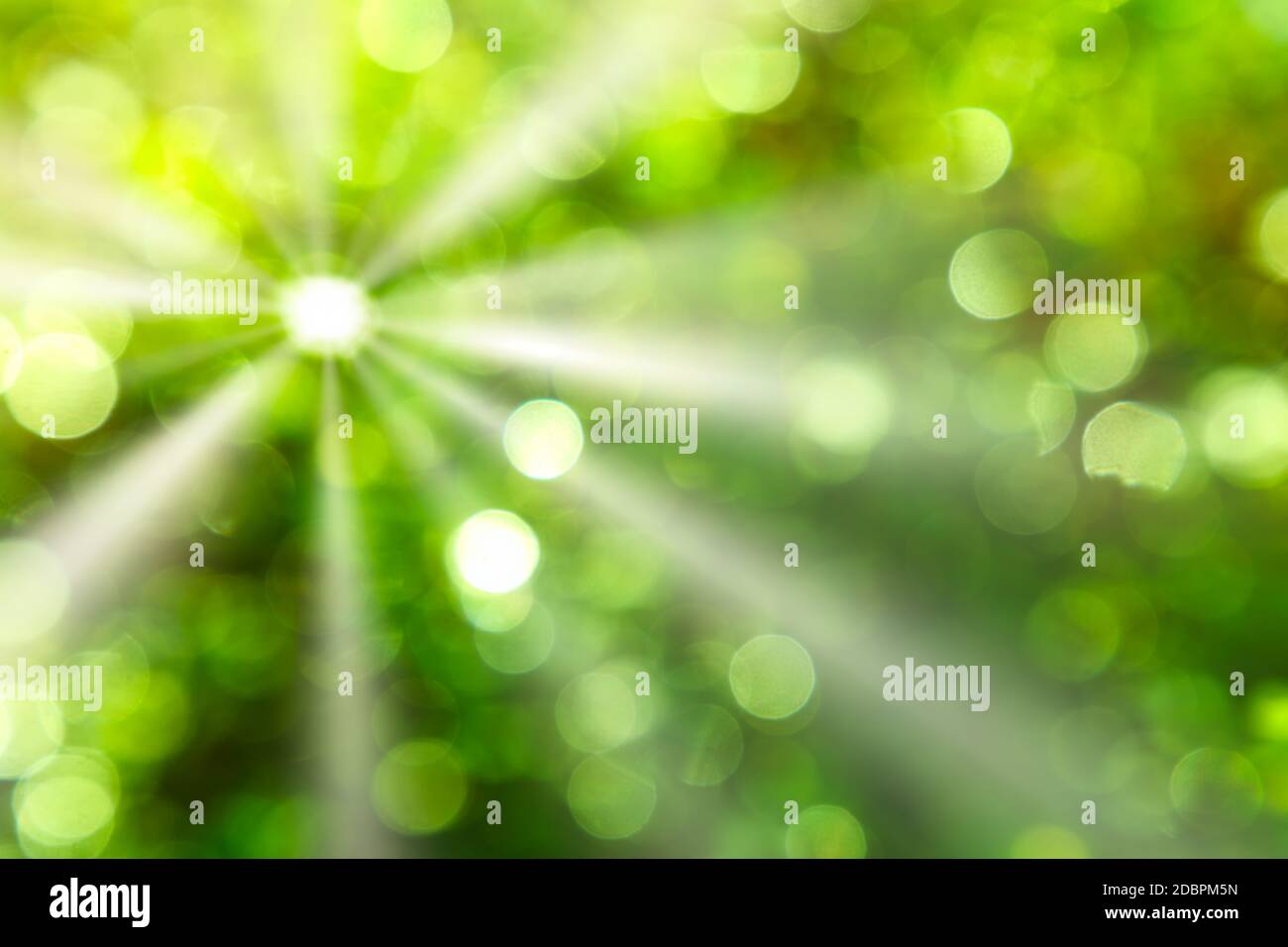Focus reflex hi-res stock photography and images - Alamy