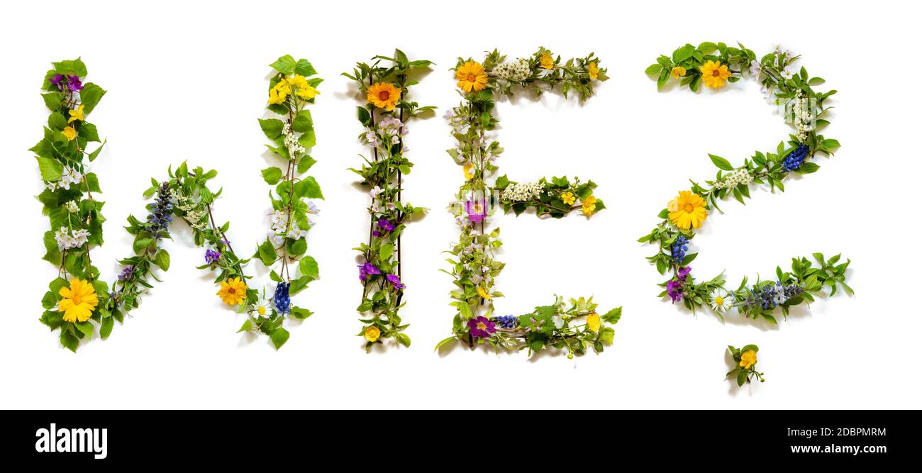 Flower, Branches And Blossom Letter Building German Word Wie Means Why