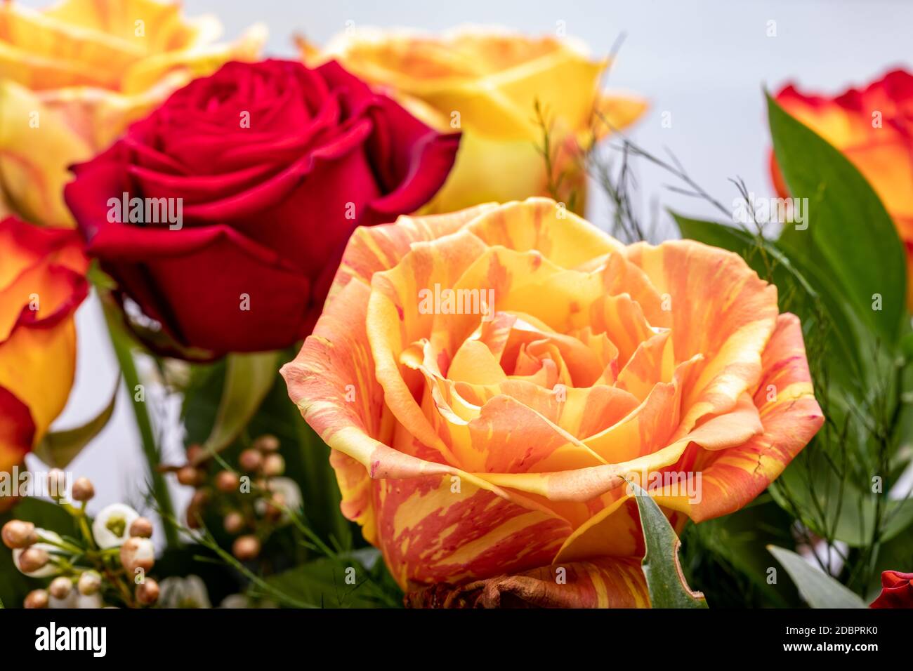 beautiful bouquet of colorful roses Stock Photo - Alamy