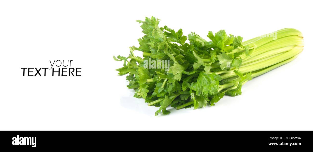 Celery with the copy space Stock Photo
