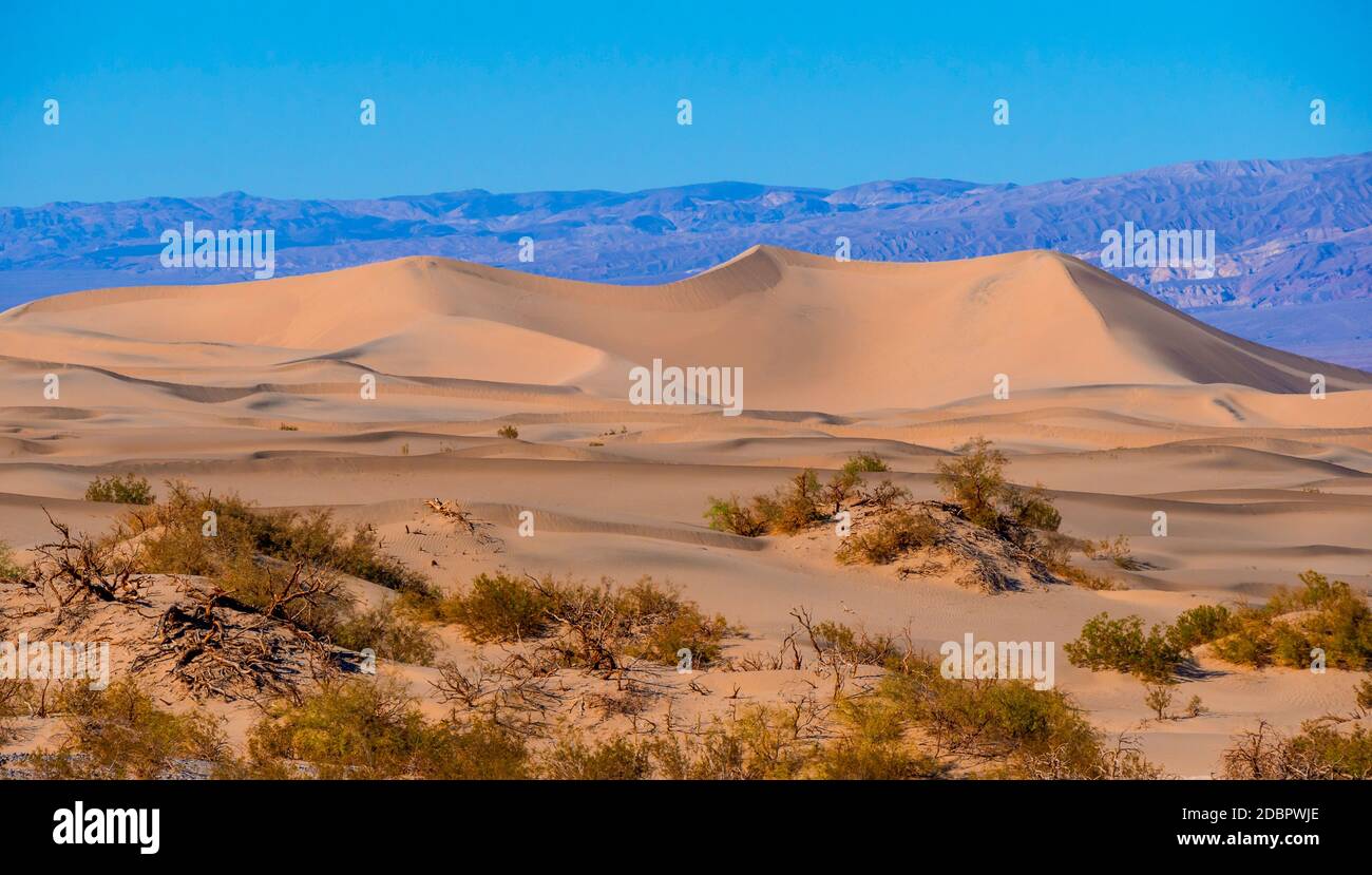Beautiful Mesquite Sand Dunes at Death Valley California - USA 2017 Stock Photo
