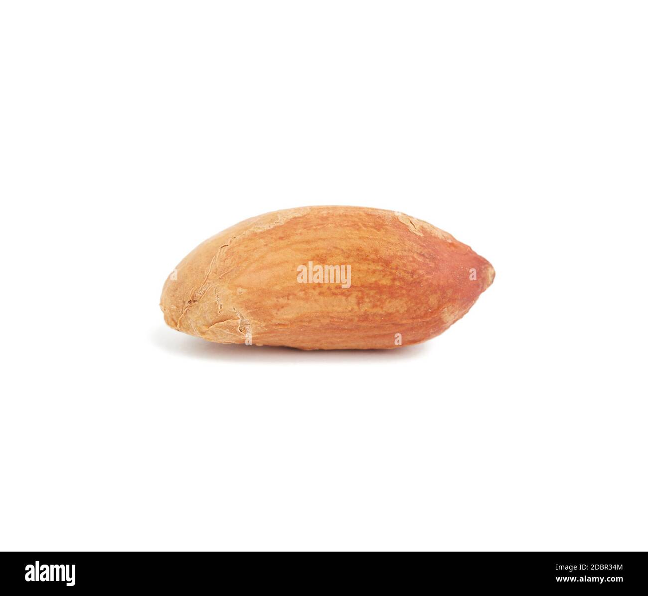 brown peanut kernel, food isolated on white background, close up Stock