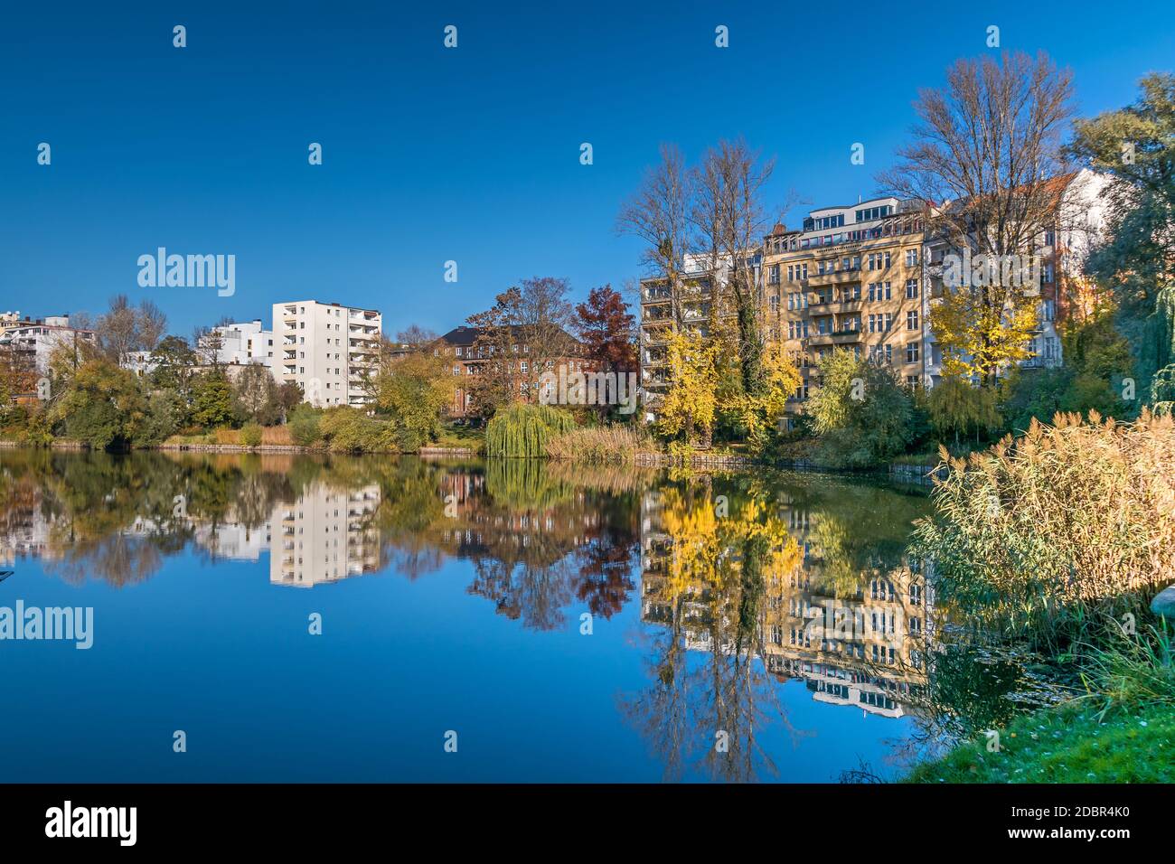 Park and a listed garden Lietzensee and buildings on the shore of Lake Lietzen (Lietzenseeufer) with its facades reflecting in the water Stock Photo