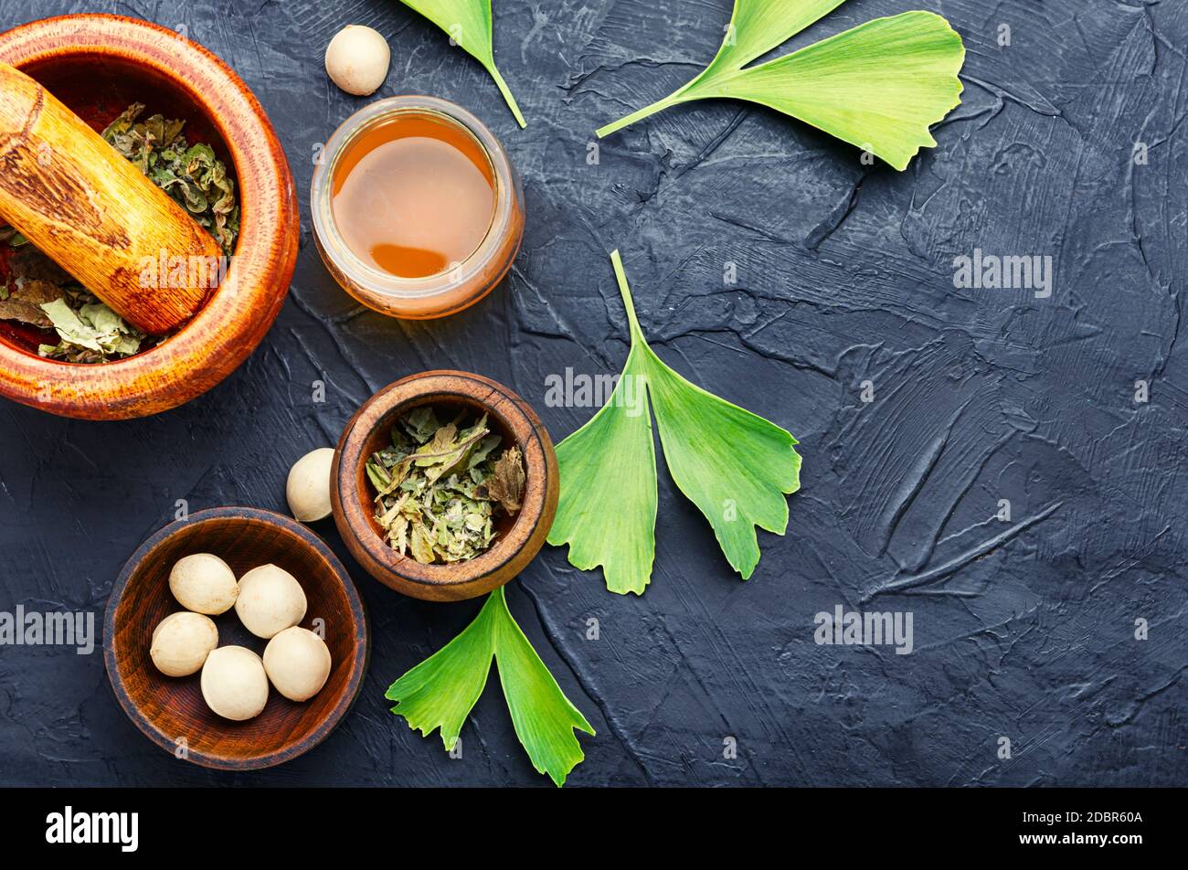 Healing properties of seeds and leaves of ginkgo biloba in herbal medicine. Stock Photo