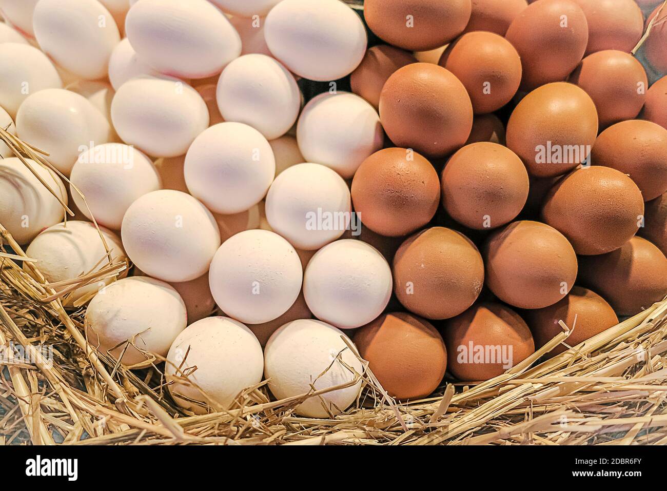 Wonderful arrangement of fresh white and brown chicken eggs in basket Stock Photo