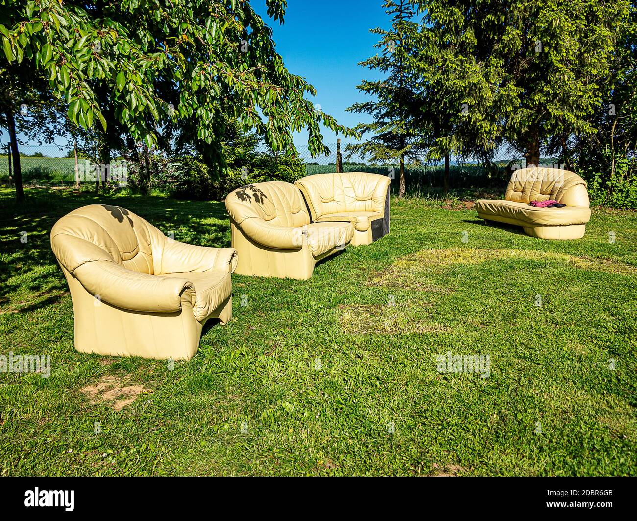 Old leather armchairs under the cherry tree in a farm garden Stock Photo