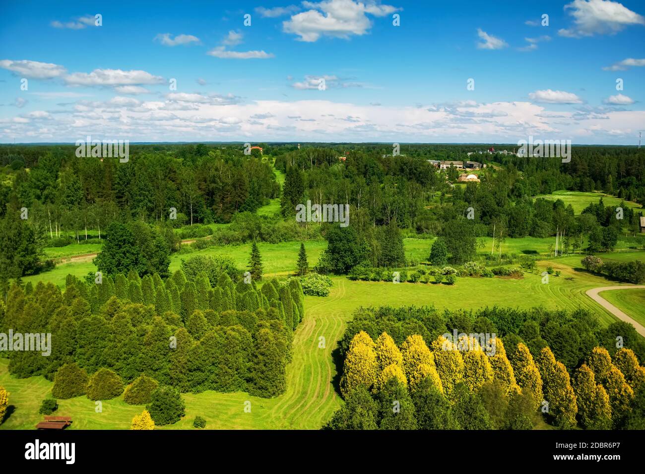 Different kinds of plants and trees in arboretum Stock Photo - Alamy