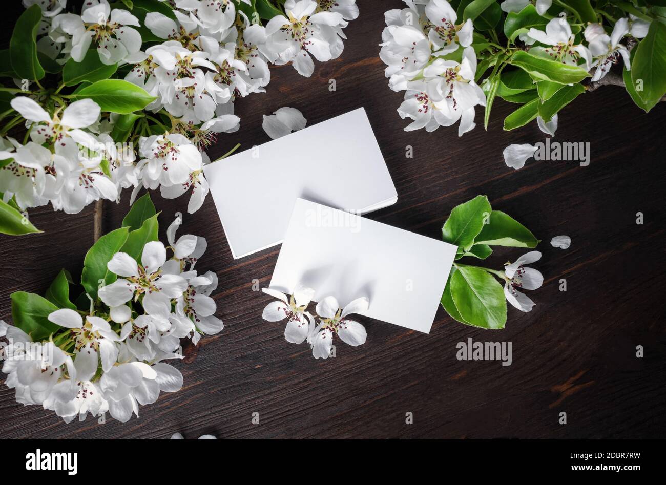 Blank business cards and flowers on wooden background. High size mockup. Flat lay. Stock Photo