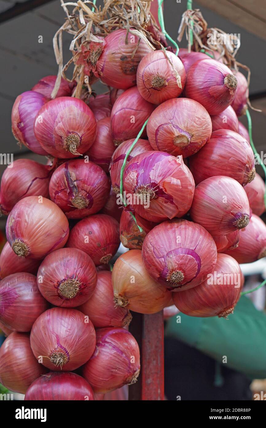Purple onions hi-res stock photography and images - Alamy