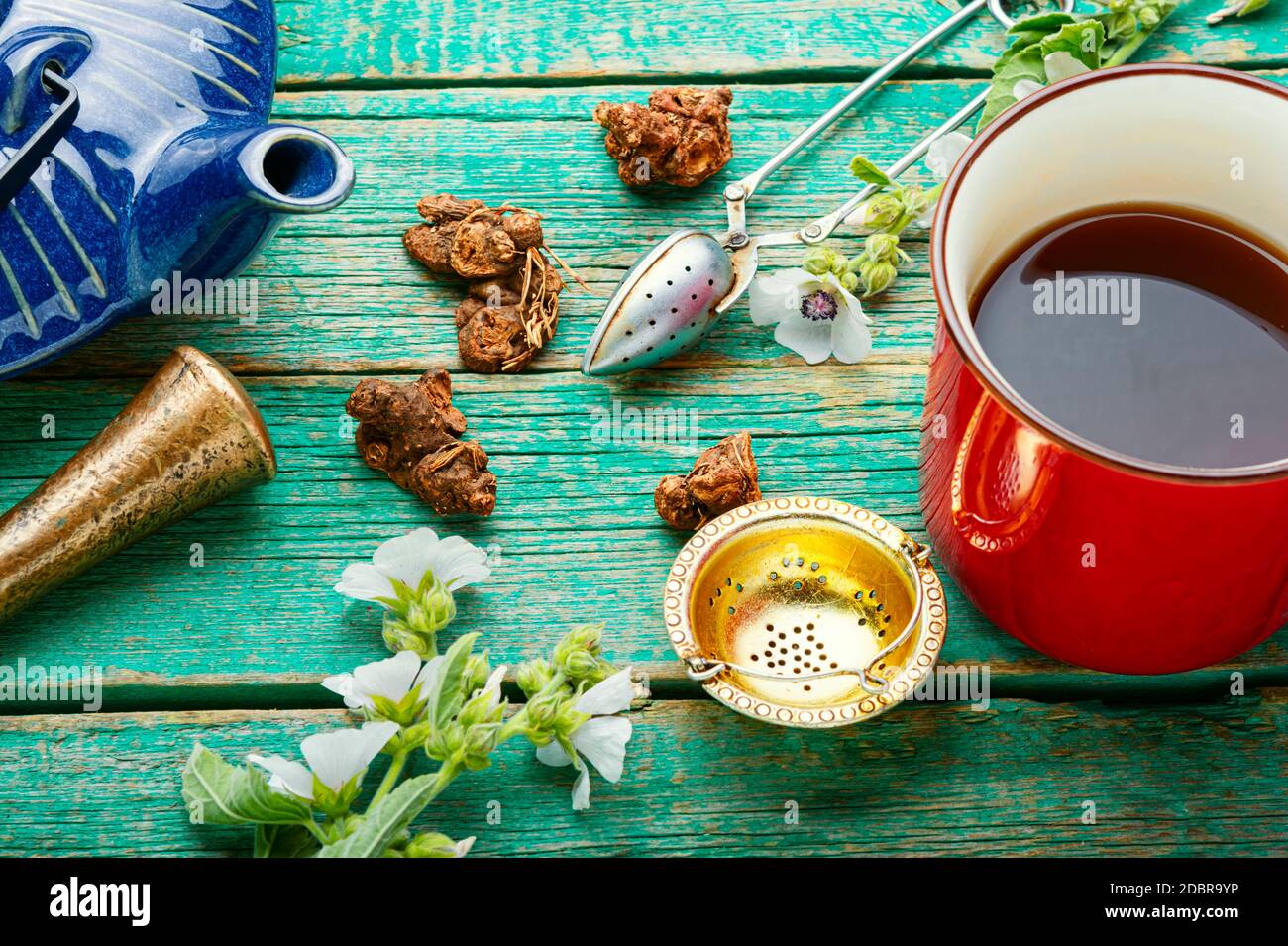 Wild medicinal herbal teas and althea root elixirs Stock Photo Alamy