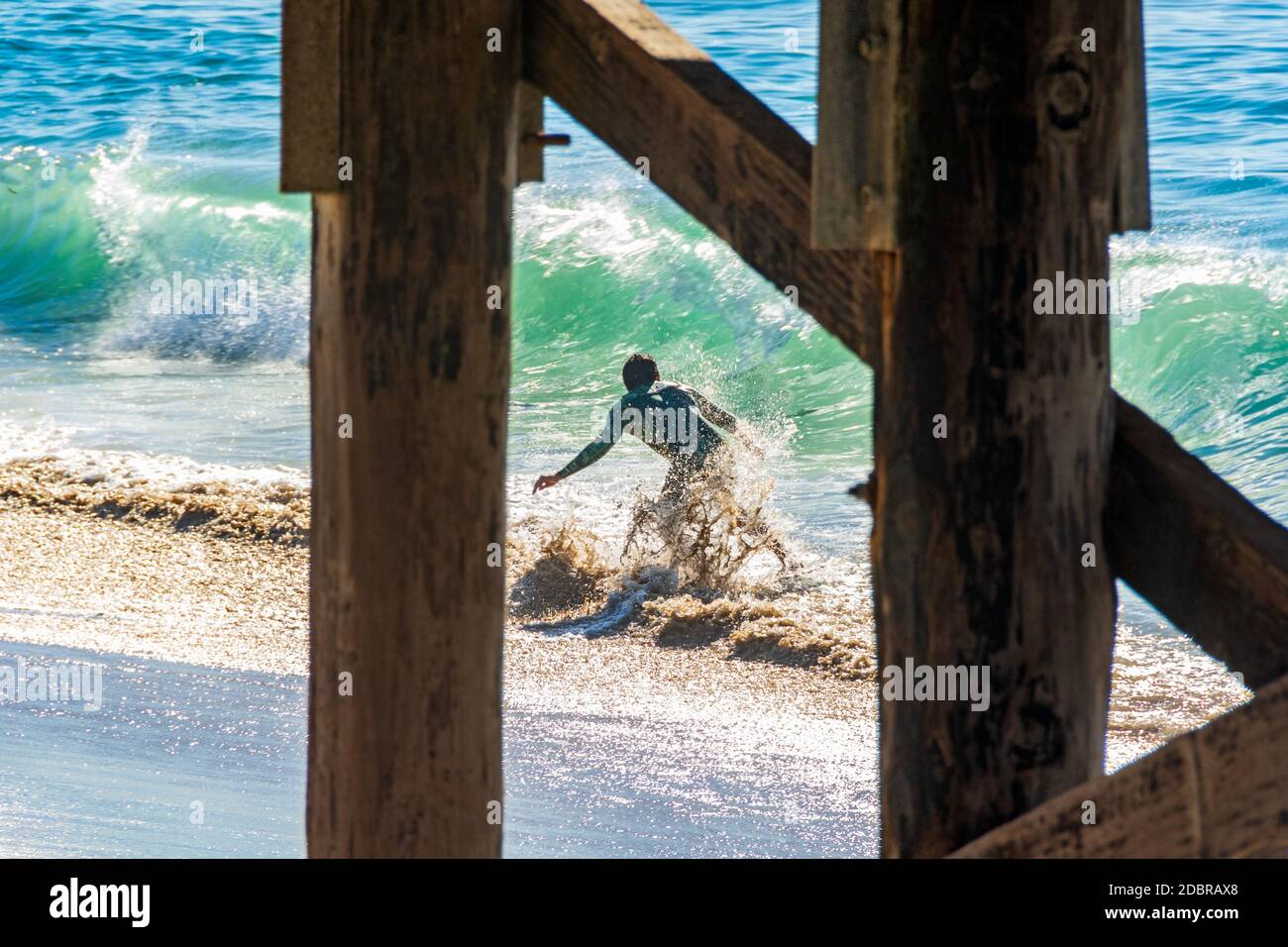 Young man in wetsuit skimboards near the Balboa Pier during the King Tide. Stock Photo