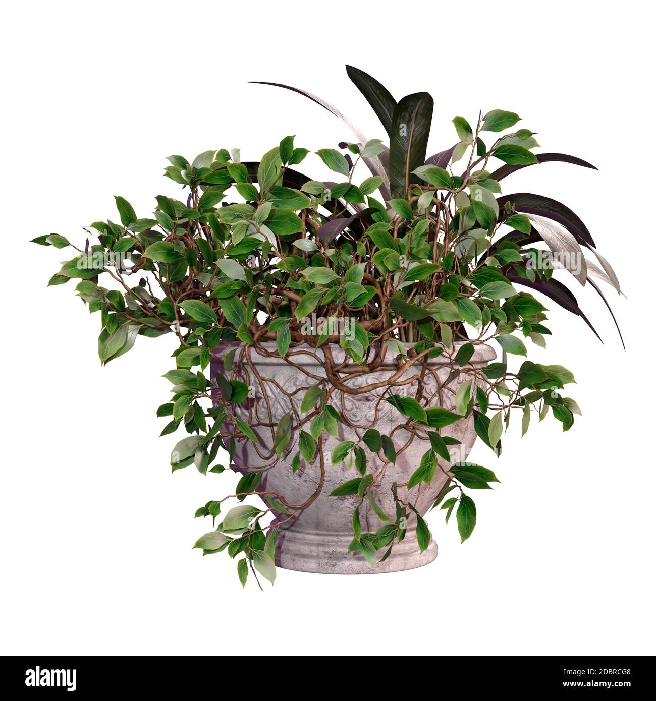 home design 3d outdoor/garden home design 3d outdoor/garden