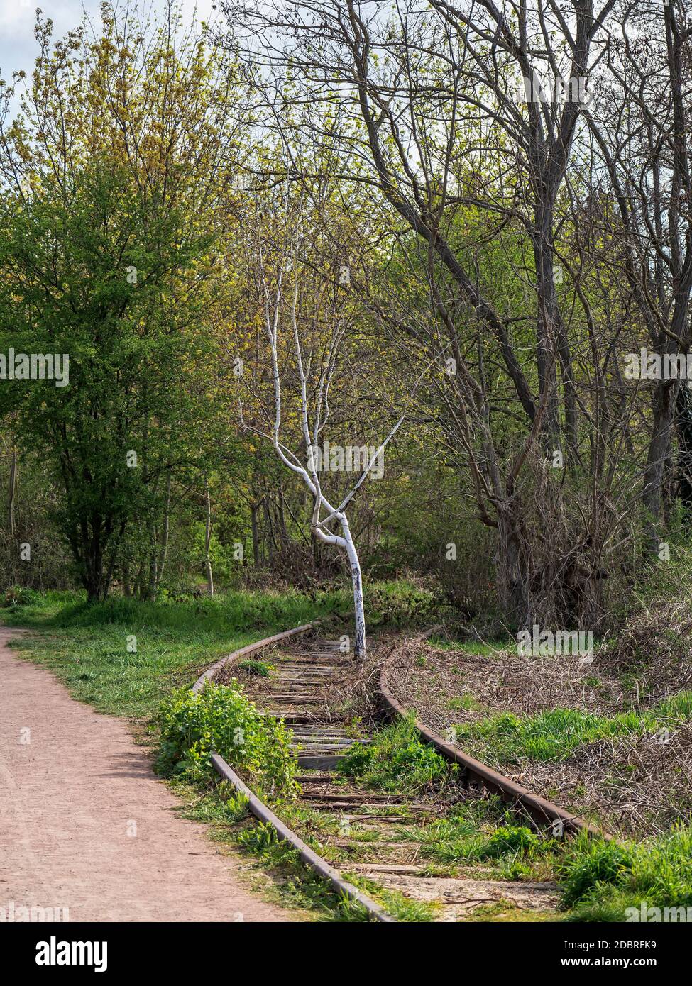 Adult rails with trees Stock Photo