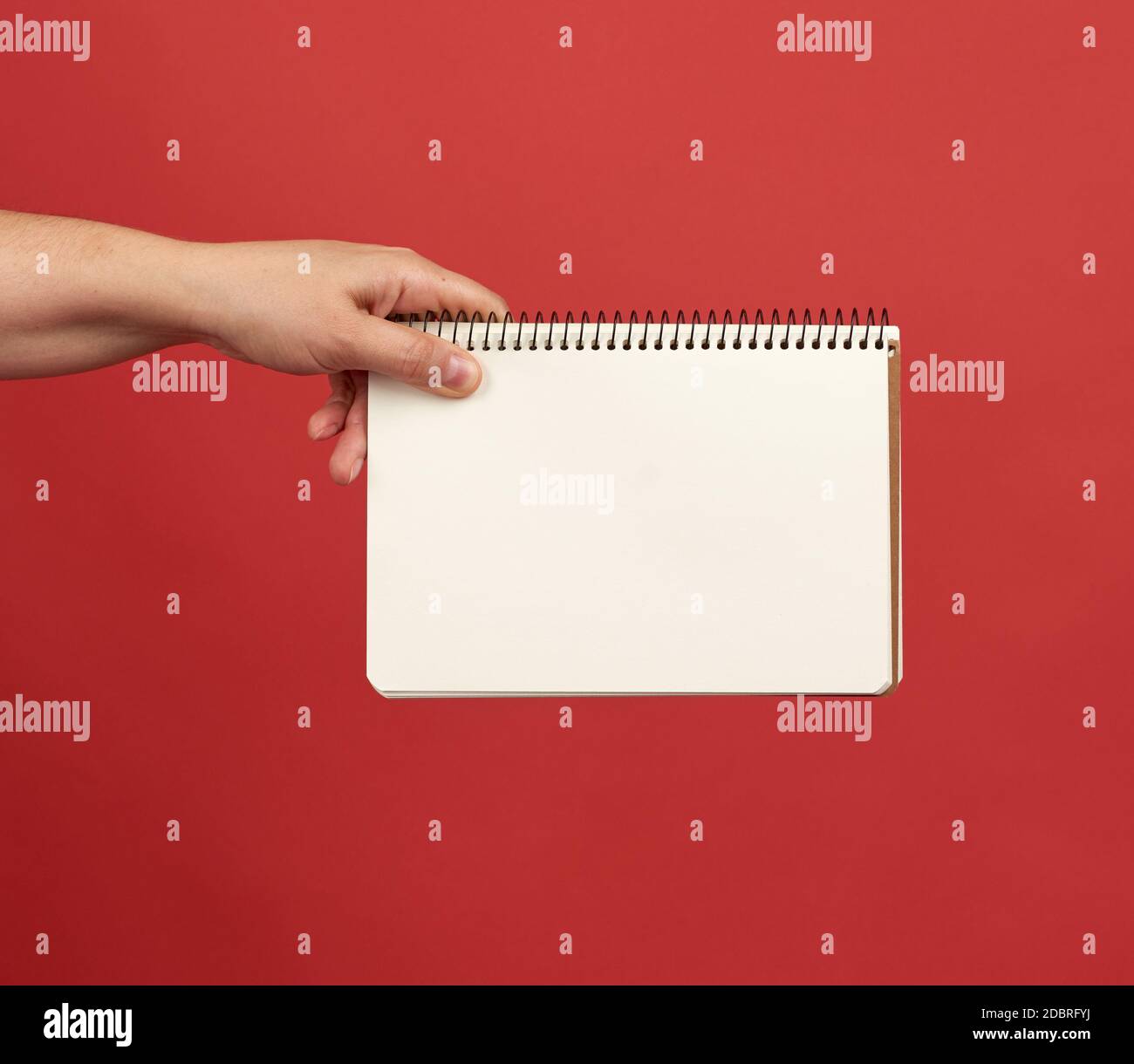hand holding an open spiral notebook with empty white sheets, red background, copy space Stock Photo