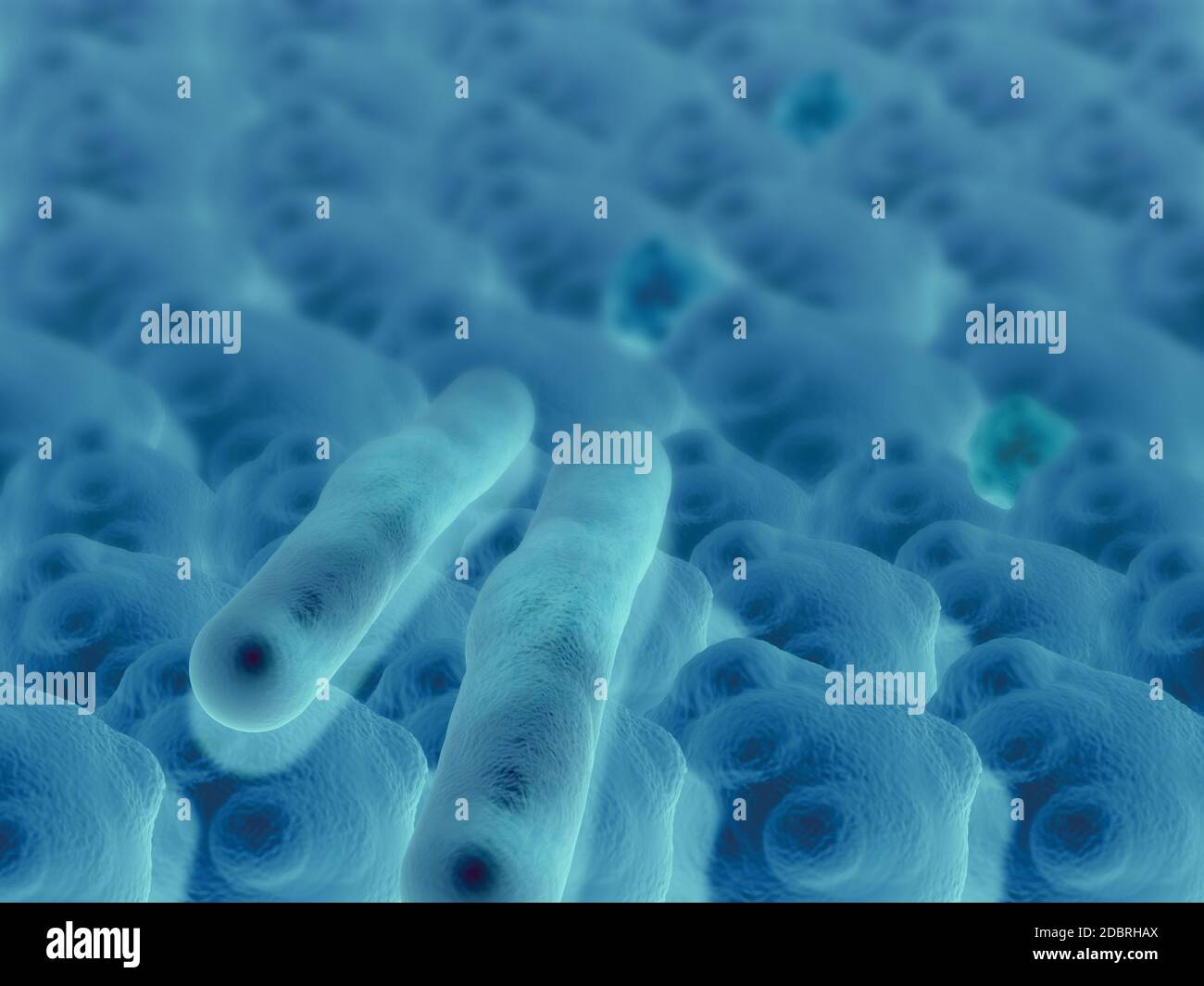 Virus and bacterium background - High Quality 3D Render Stock Photo - Alamy