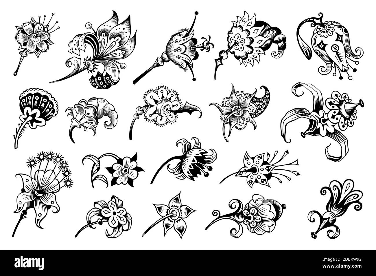 Floral hand drawn vector vintage engraved nature elements and objects ...
