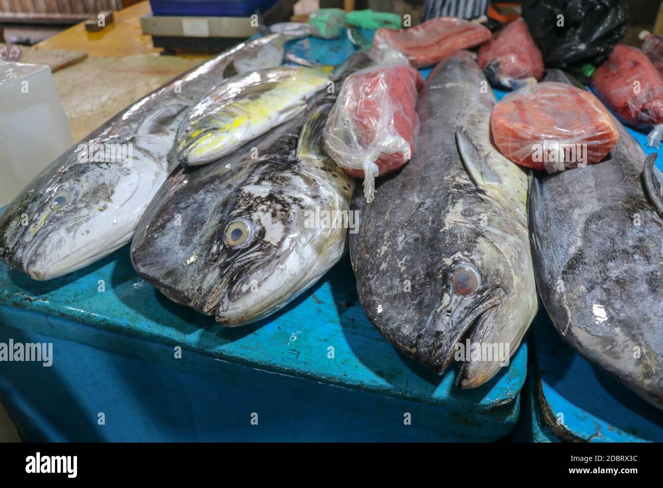 Selling fresh seafood fish on the tourist attraction local market in