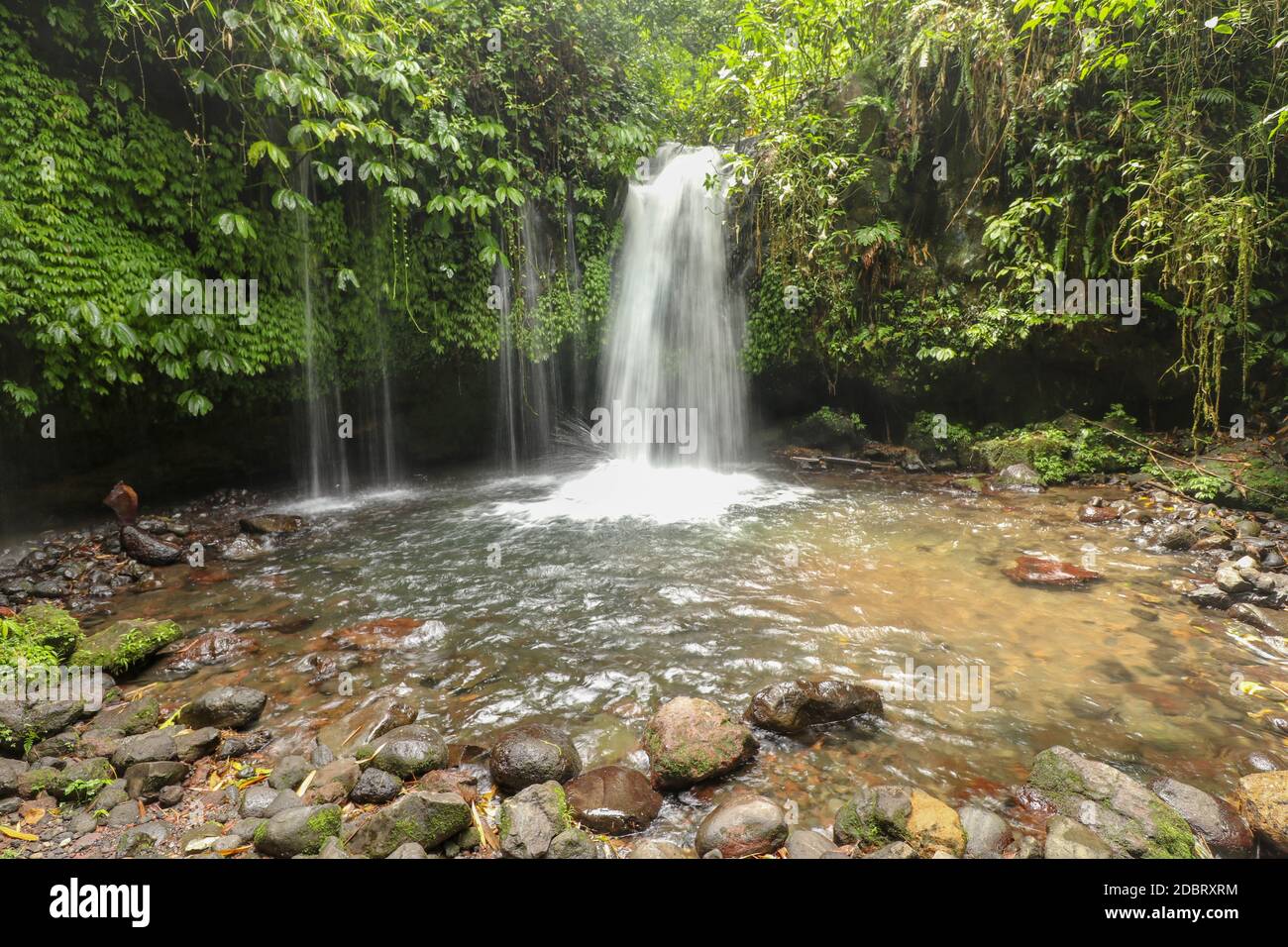 Yeh Ho Waterfall is located in the lush rice field-laden Penebel village in Tabanan. Waterfall near to Jatiluwih rice terrace in Bali, Indonesia. Beau Stock Photo