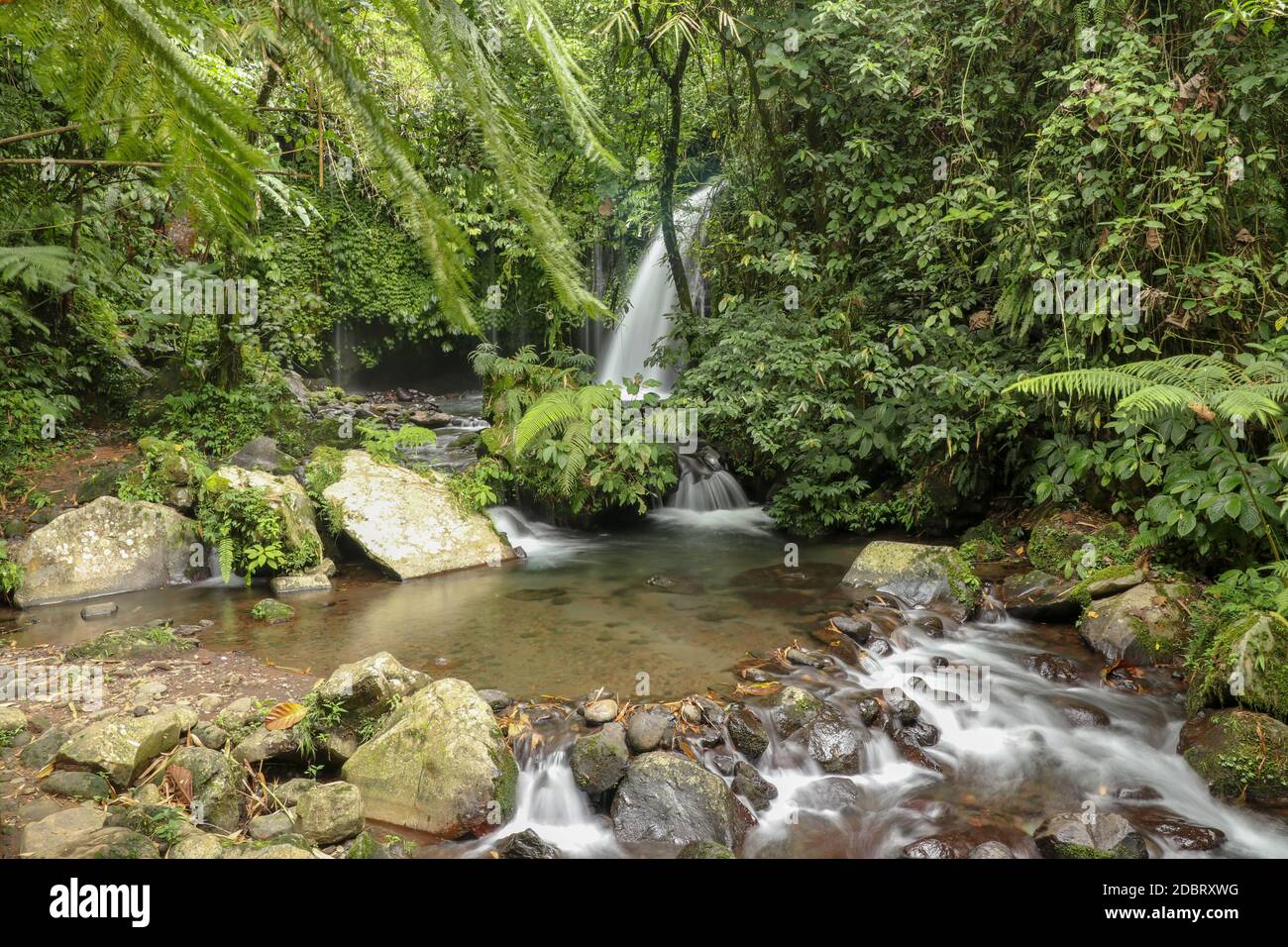 Yeh Ho Waterfall is located in the lush rice field-laden Penebel village in Tabanan. The stream of beautiful waterfall in the jungle in Jatiluwih area Stock Photo