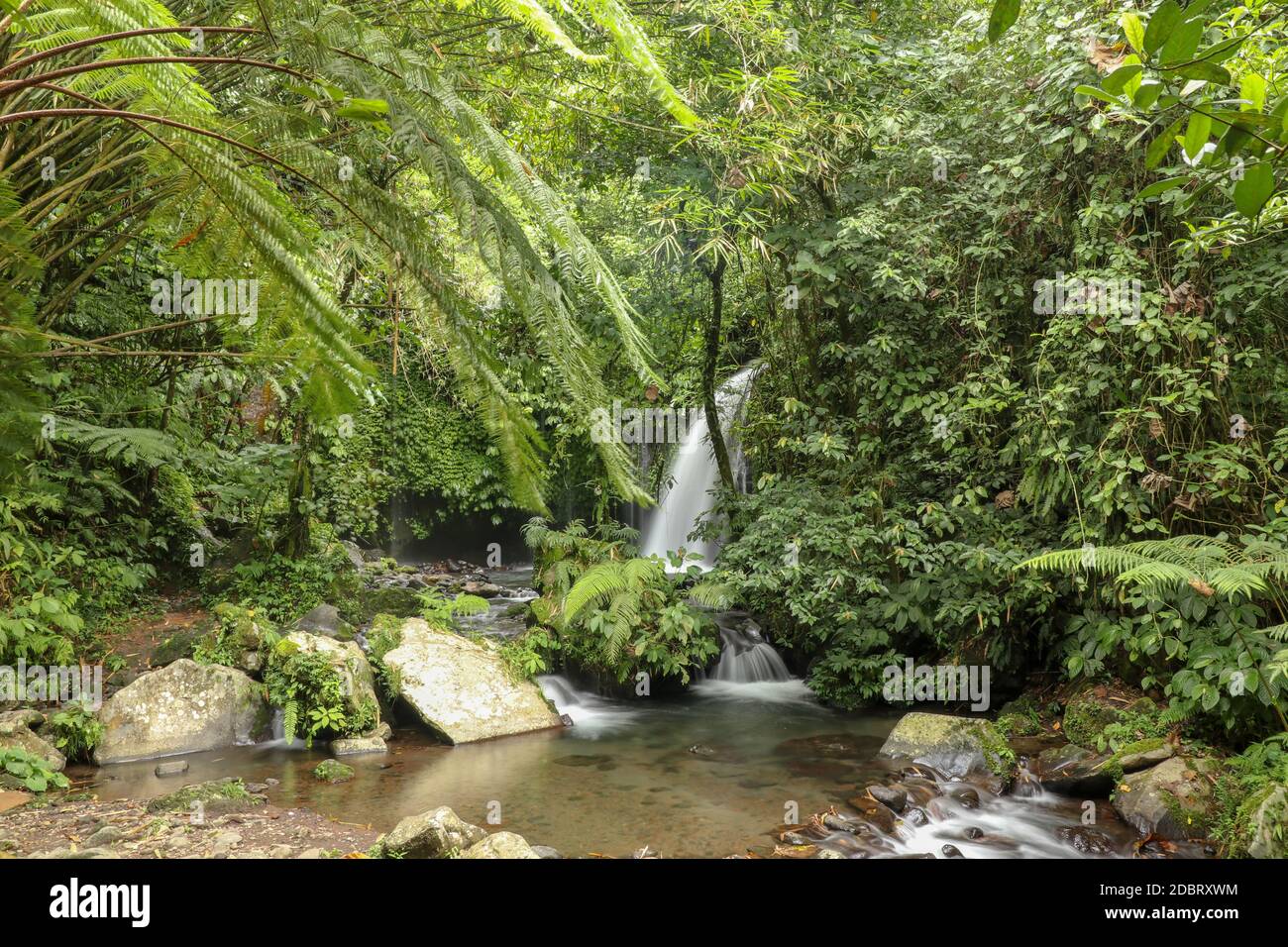 Yeh Ho Waterfall is located in the lush rice field-laden Penebel village in Tabanan. The stream of beautiful waterfall in the jungle in Jatiluwih area Stock Photo