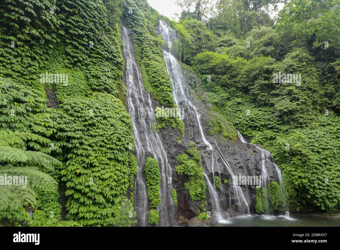 Secret jungle waterfall cascade in tropical rainforest with rock and turquoise blue pond. Banyumala twin waterfall in mountain slope in Bali, Wanagiri Stock Photo