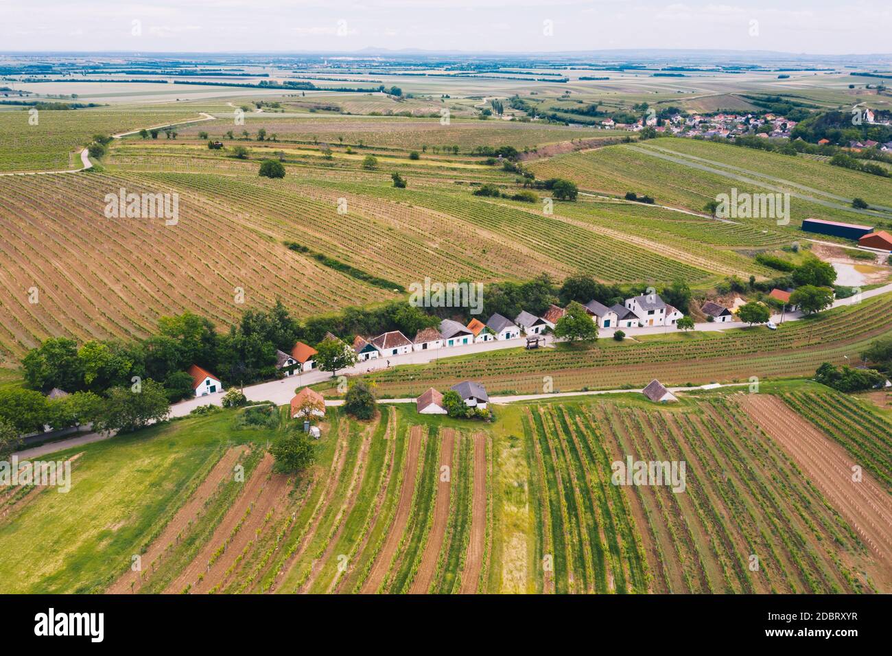 Wine cellar street in Mailberg in the Austrian Weinviertel during springtime and summer. Stock Photo