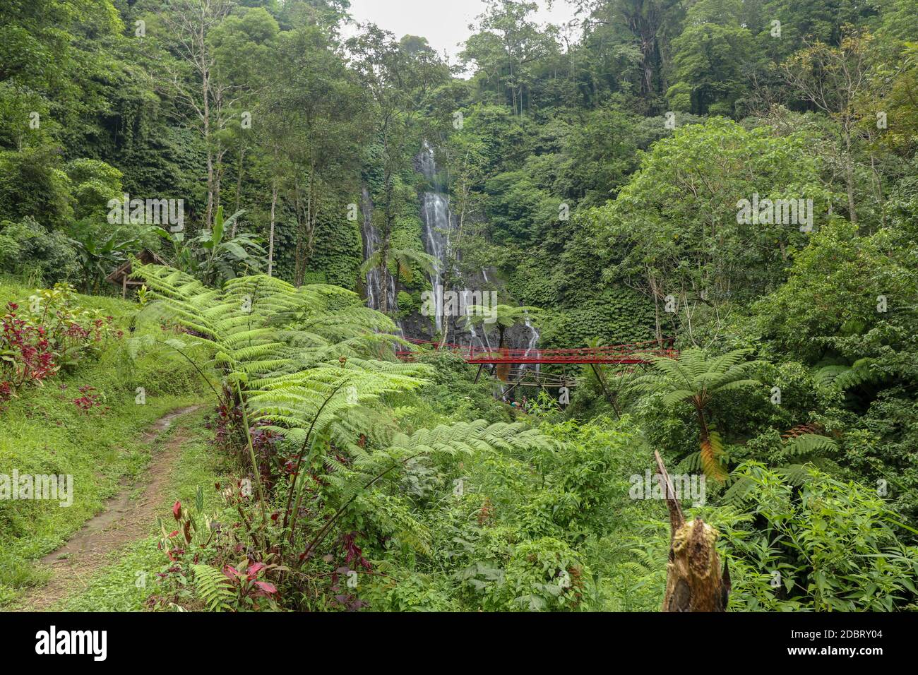 Red bridge over the river near a waterfall in the mountains in the rainforest. Banyumala twin waterfall in mountain slope. Jungle waterfall cascade in Stock Photo