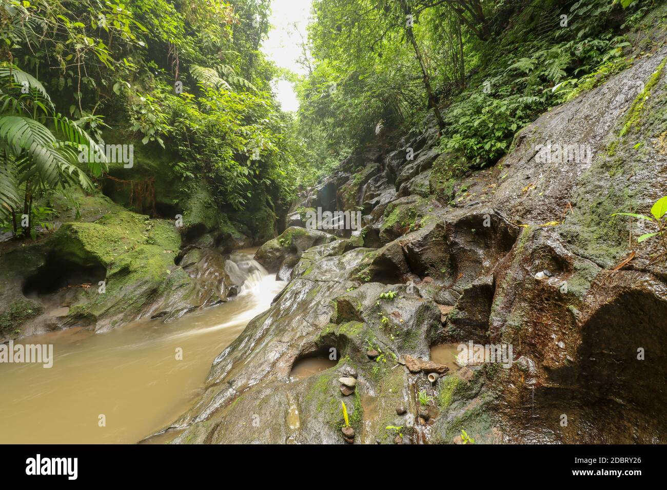 Beautiful texture of stone riverbed polished by mountain river flow surrounded by wild rainforest on a sunny summer day. Bali, Indonesia. Stock Photo