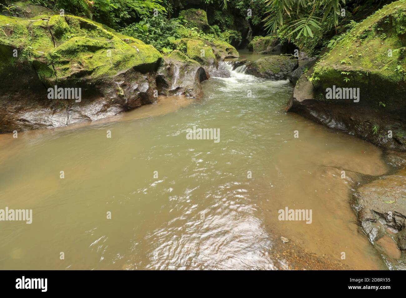 Beautiful texture of stone riverbed polished by mountain river flow surrounded by wild rainforest on a sunny summer day. Bali, Indonesia. Stock Photo