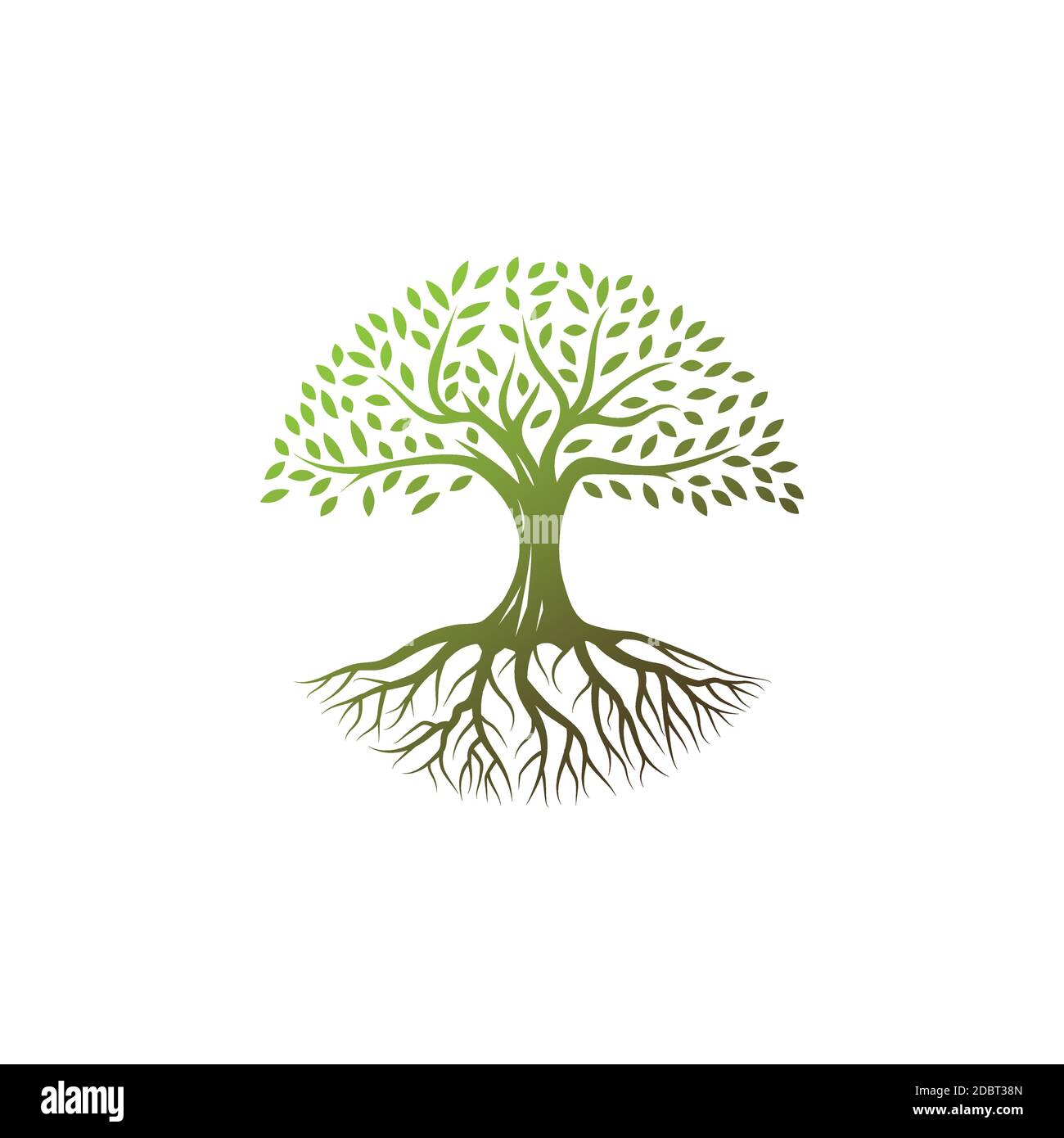 Tree logo design vector template.tree with root icon in circle shape Stock Vector