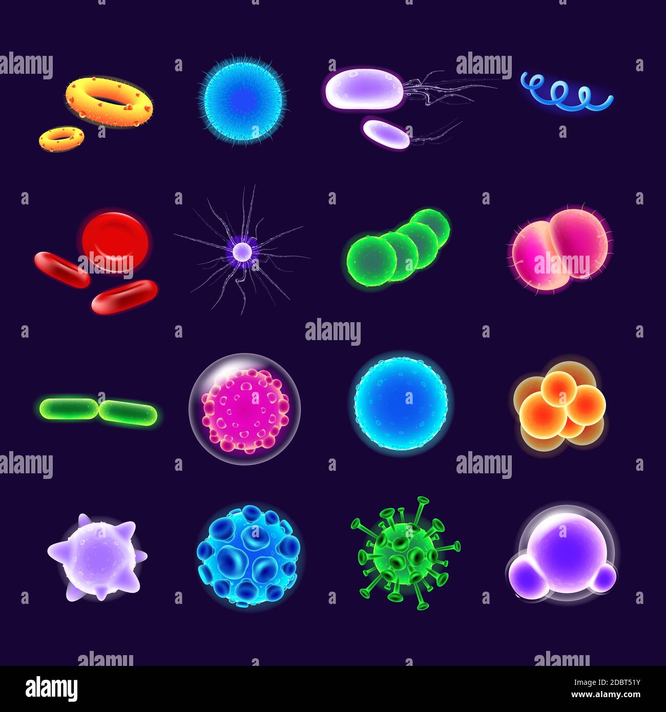 Bacteria realistic vector icons set. Pathogen illustration. Microbiological research. 3d isolated color microorganisms of various shapes under microsc Stock Photo