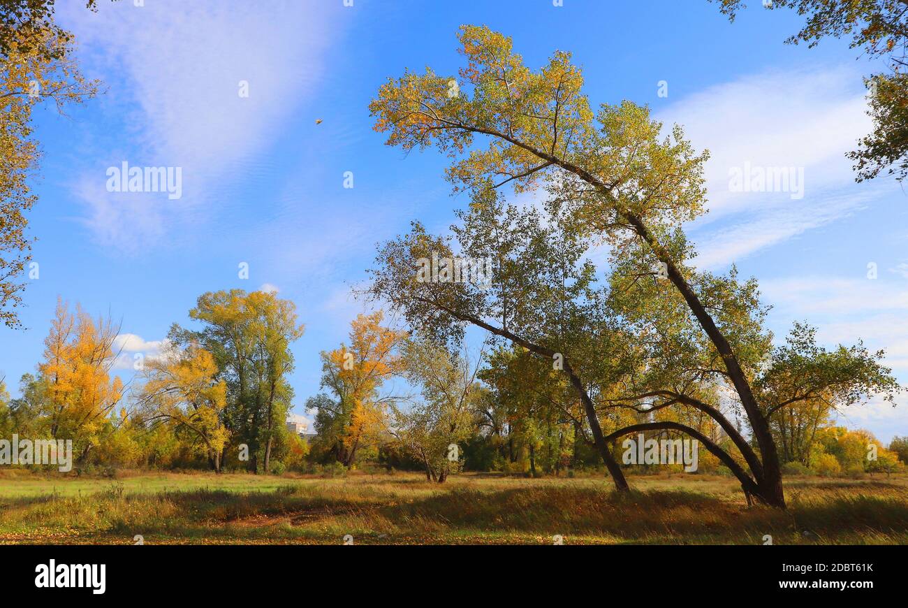 autumn landscape with trees and blue sky Stock Photo - Alamy