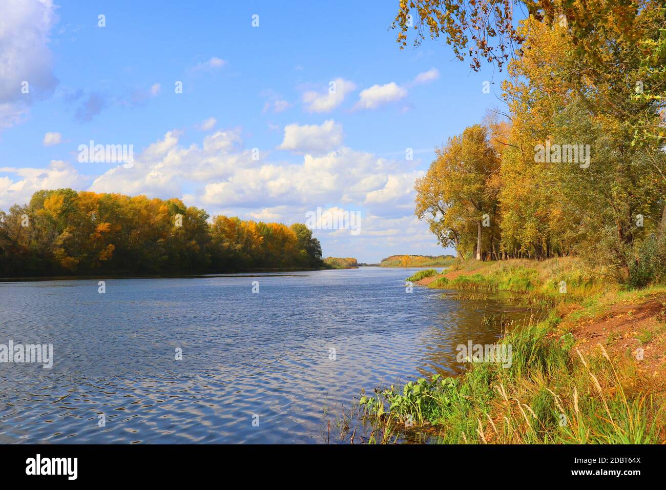 autumn landscape with river and trees Stock Photo - Alamy
