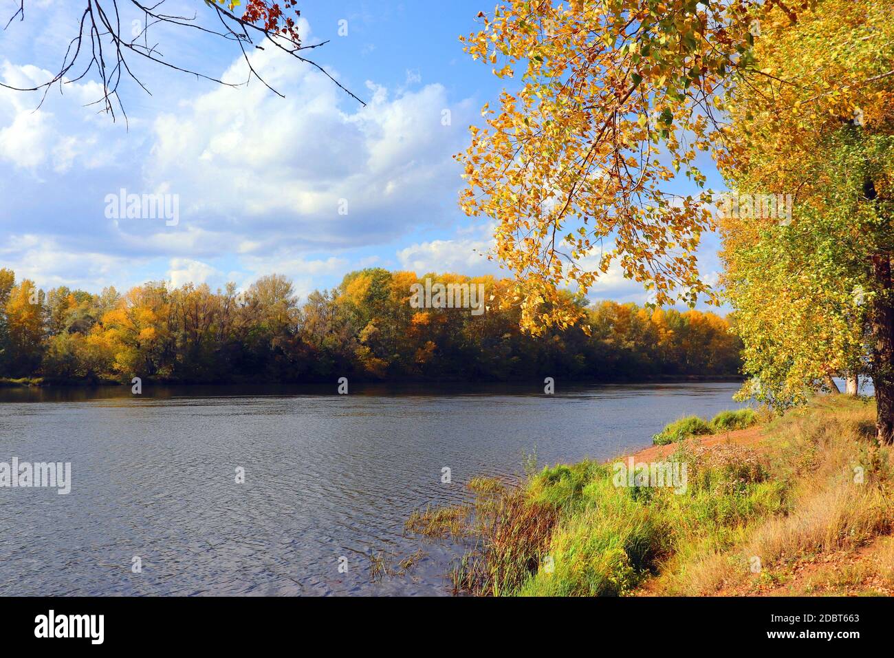 autumn landscape with river an trees Stock Photo - Alamy