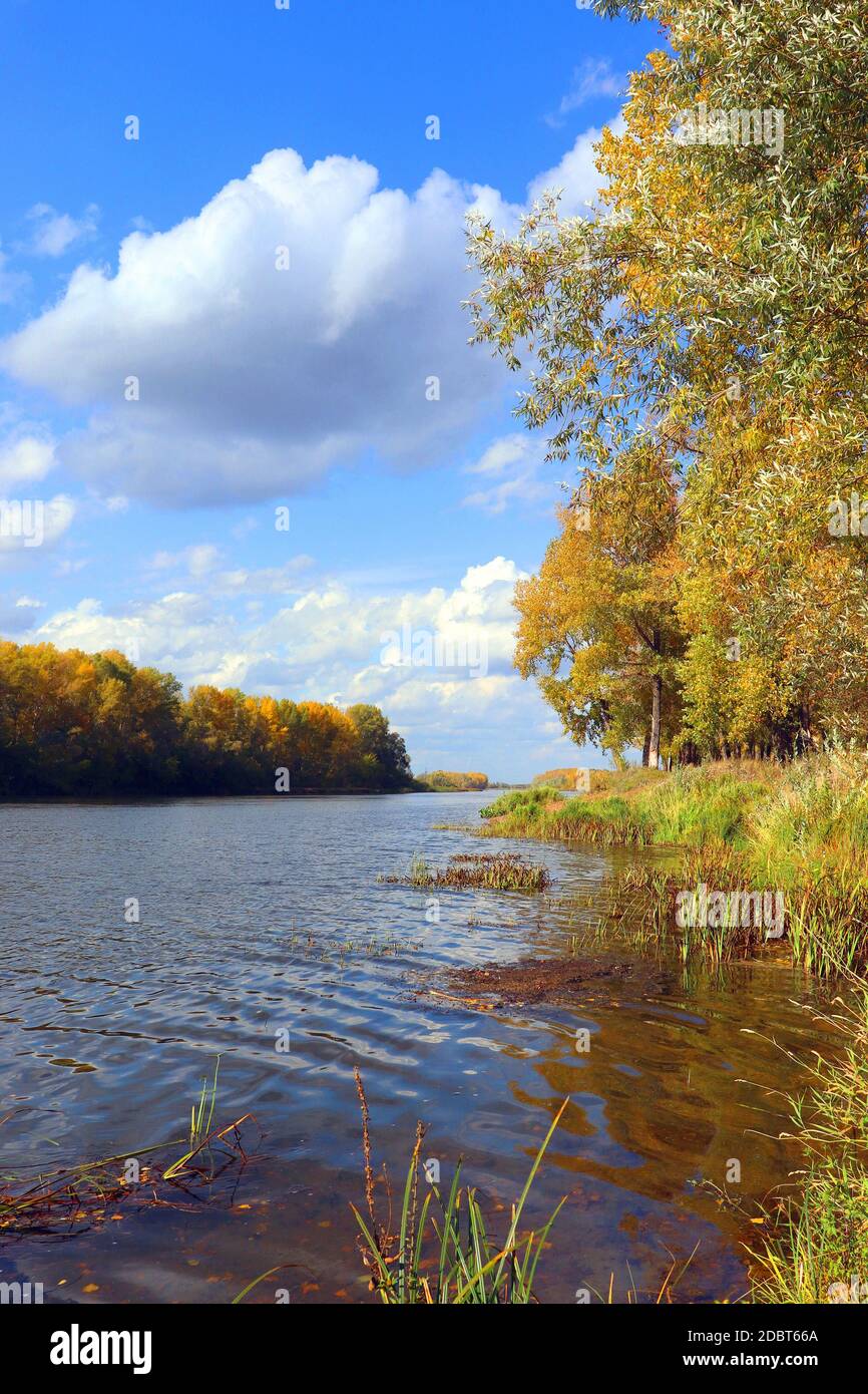 autumn landscape with river and trees Stock Photo - Alamy