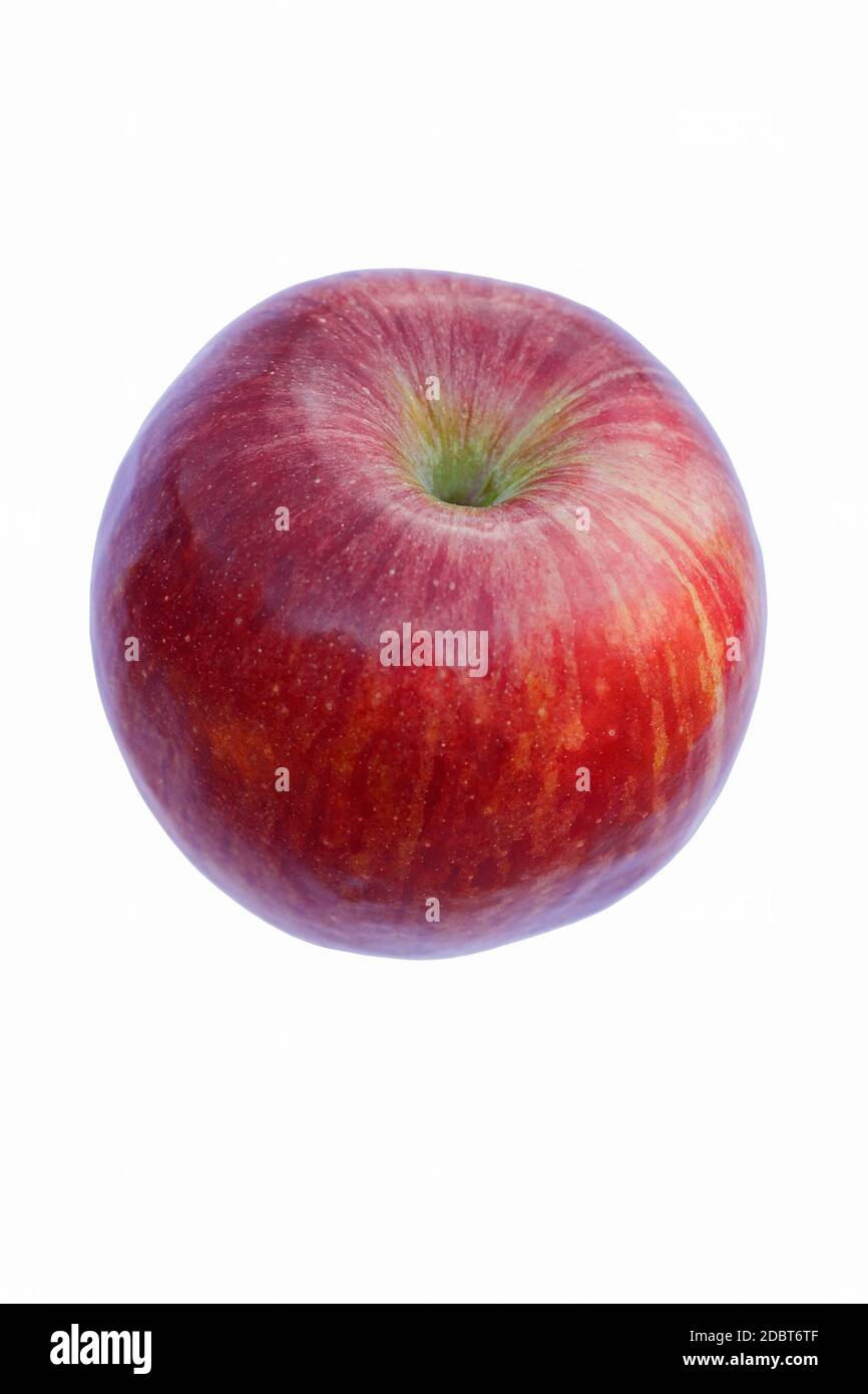 Stayman apple (Malus domestica Stayman). Called Stayman Winesap also. Image of apple isolated on white background Stock Photo
