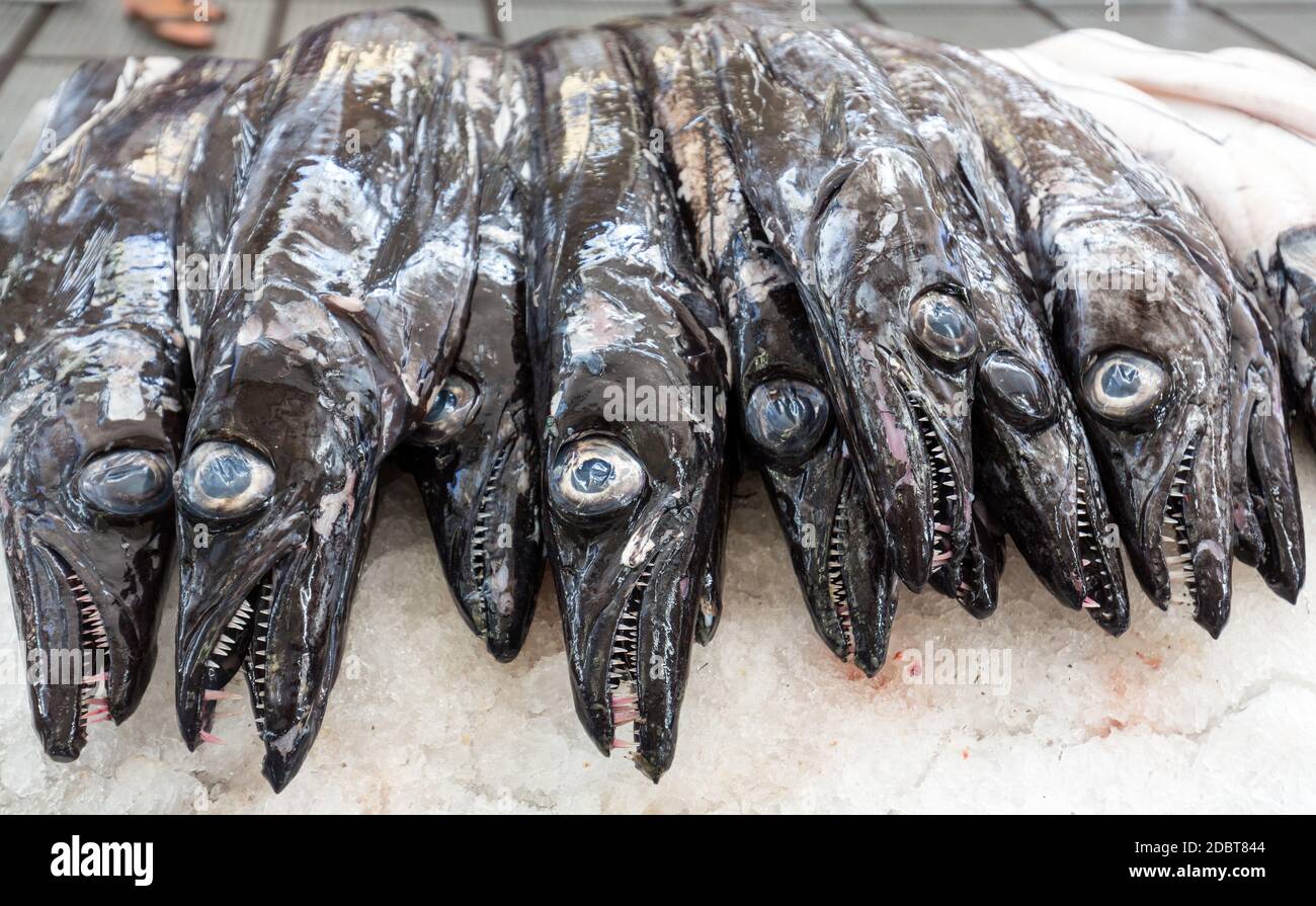 Fish on market, black scabbard (espada) in fish market Stock Photo