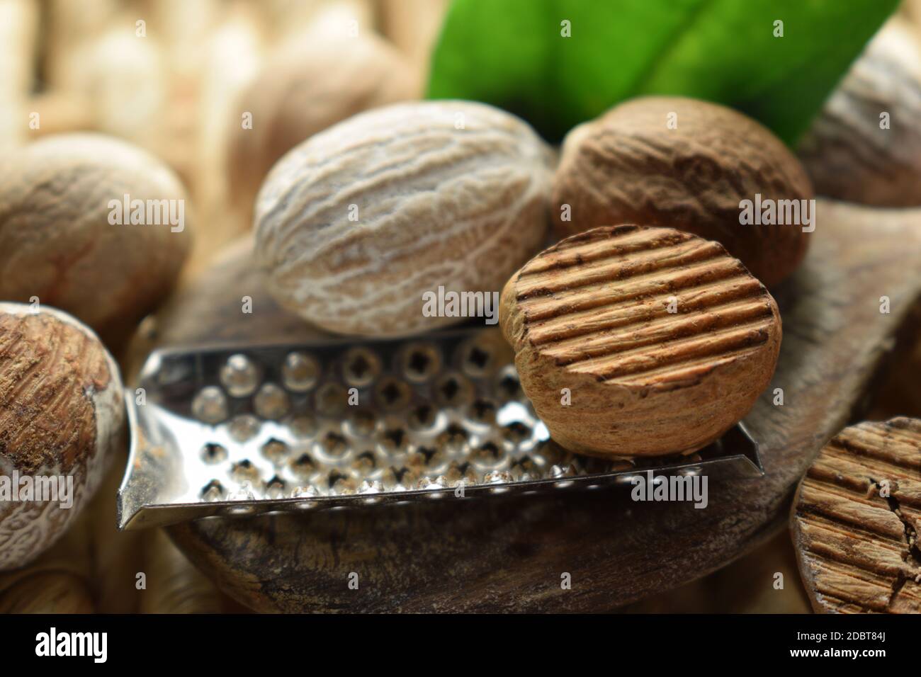 Close up of nutmegs with grater Stock Photo