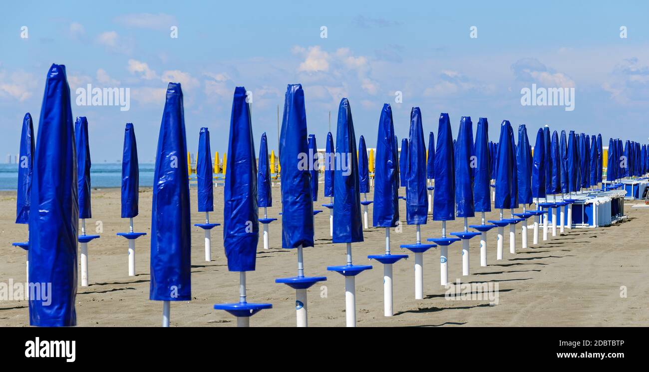 blue grado