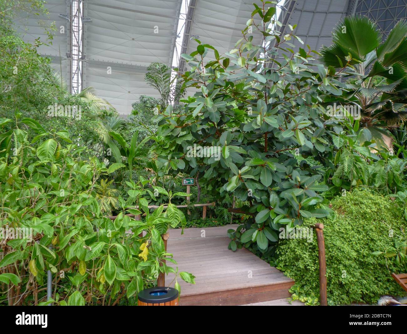 Jungles in southeast asia hi-res stock photography and images - Alamy