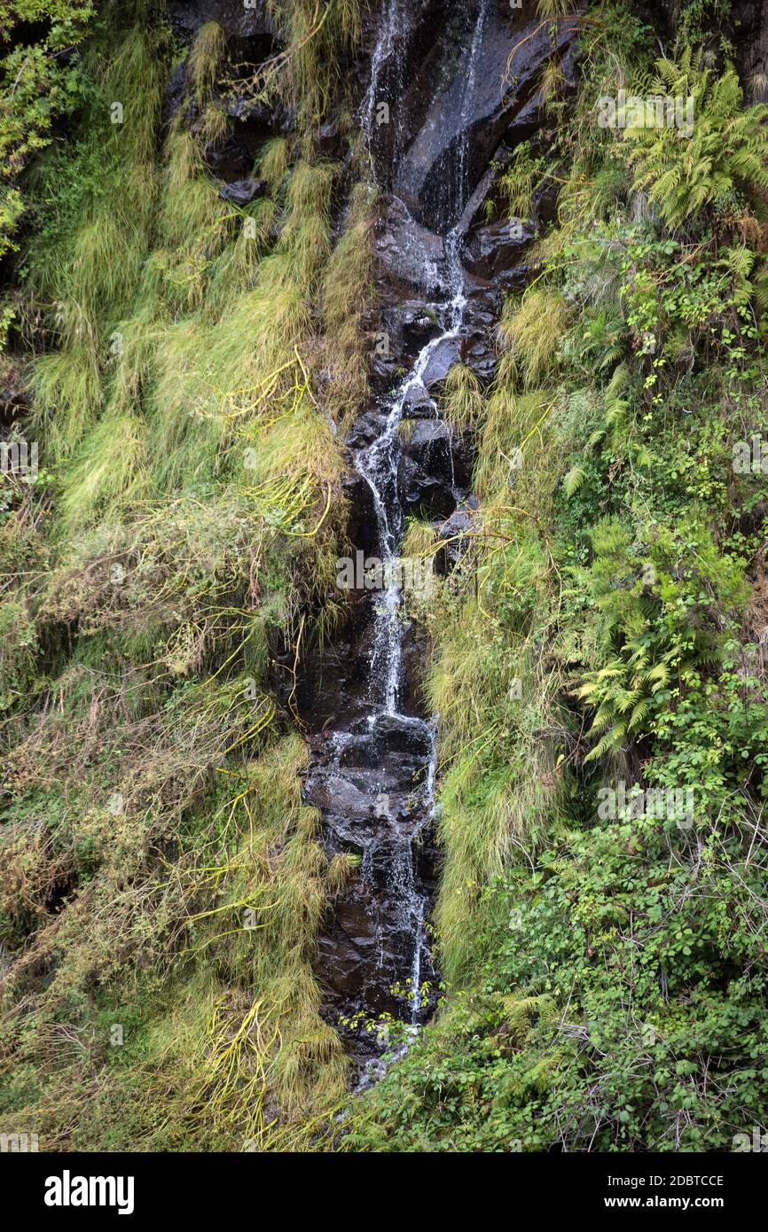 Risco Waterfall of the Twenty-five Fountains Levada hiking trail, Madeira Portugal Stock Photo