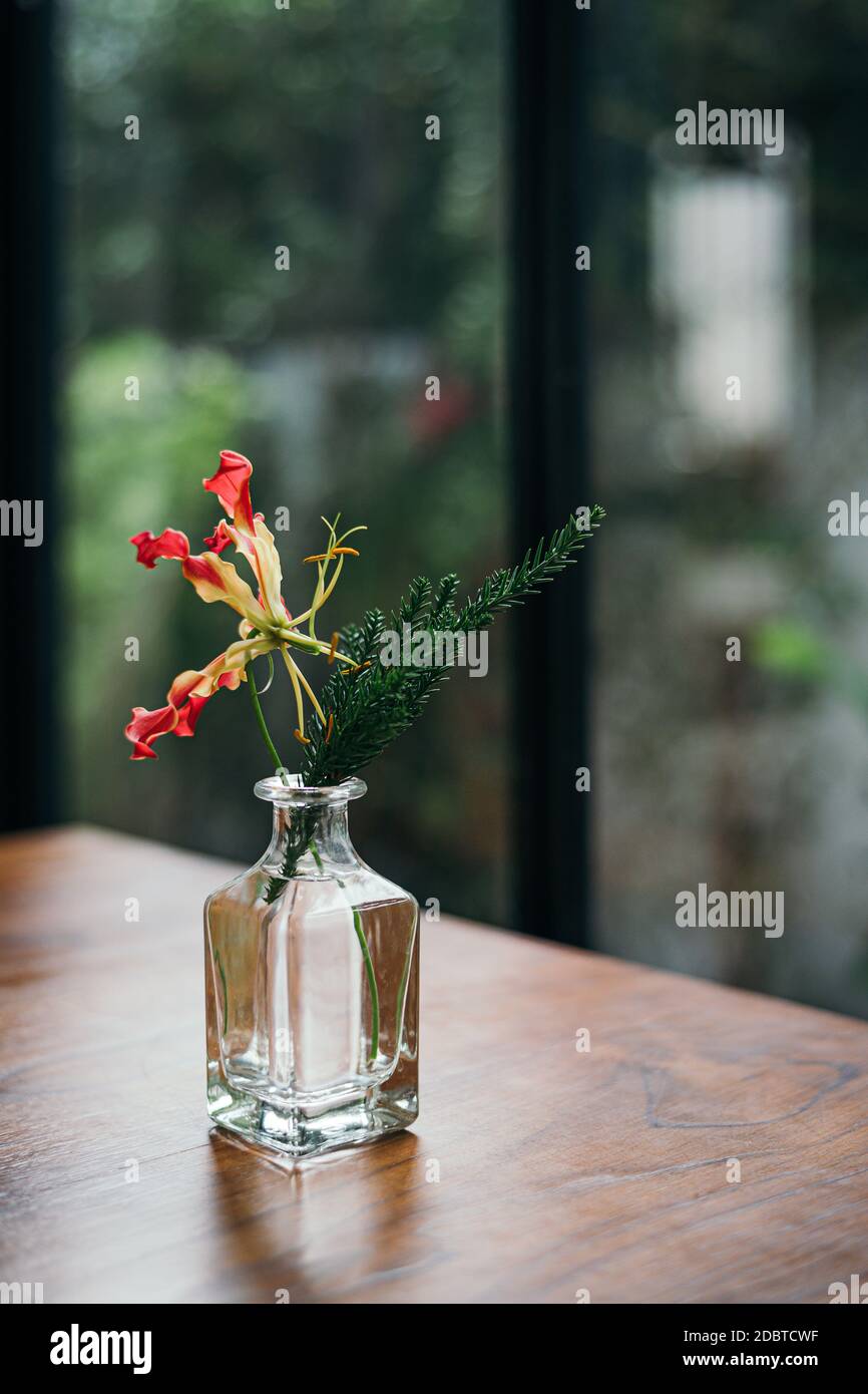 Flower with leaf in glass vase on wooden indoor table with blur green garden background Stock Photo