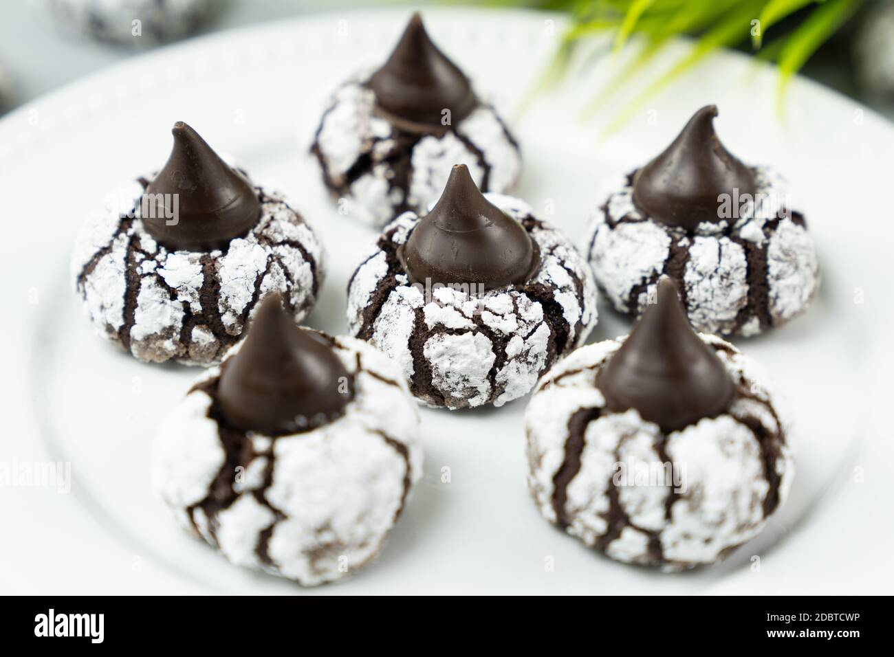 Chocolate crinkle cookies in powdered sugar Stock Photo Alamy