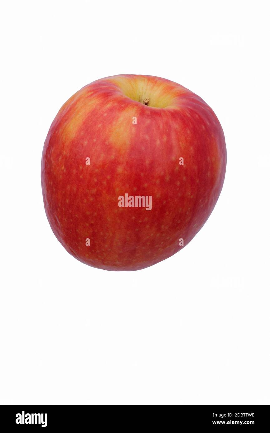 Raw Red Organic Pink Lady Apples Stock Photo by ©bhofack2 174577644
